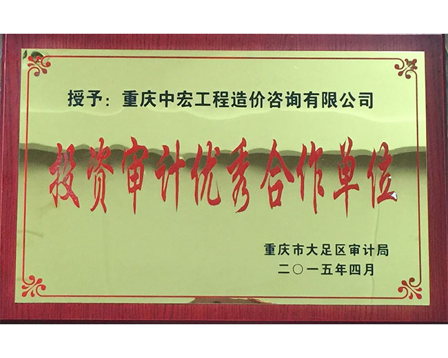 2015年-大足区-投资审计优秀合作单位